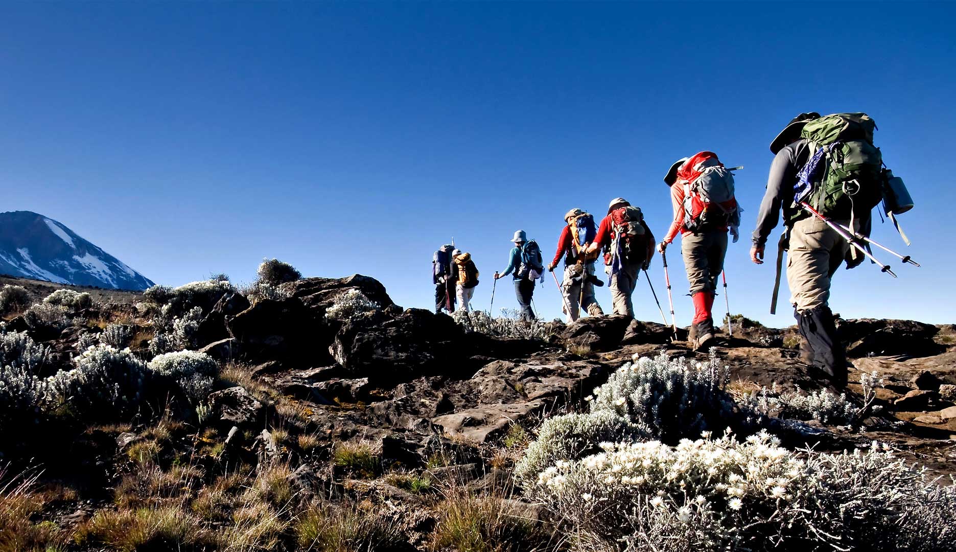 Hikers on the Rongai Route