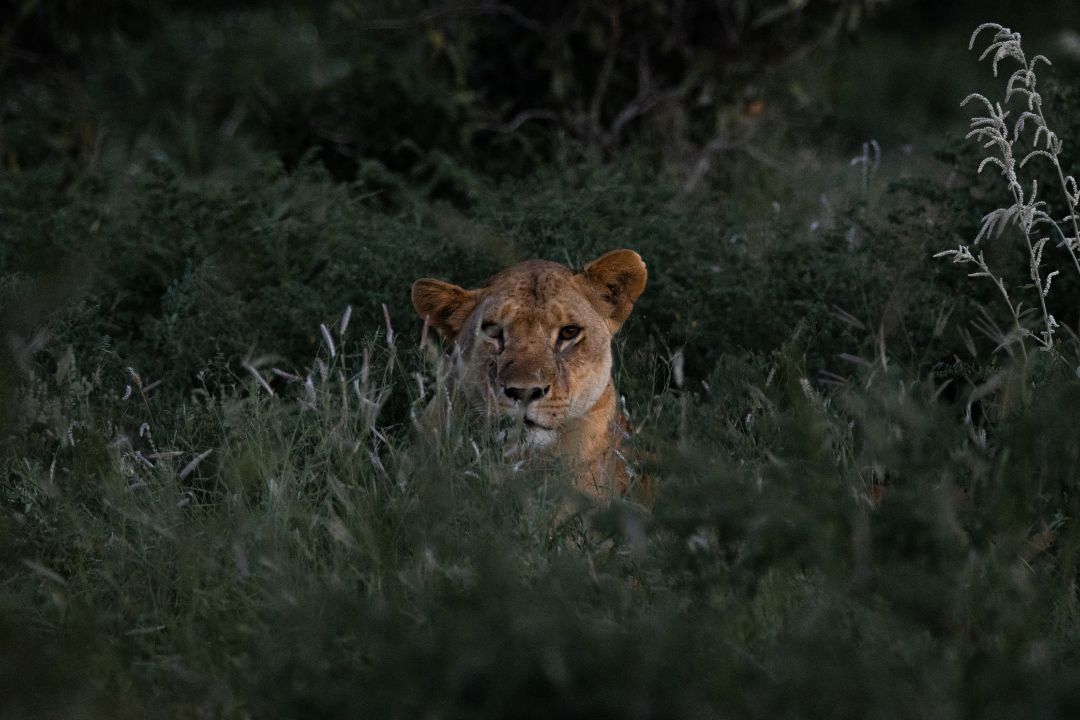 Serengeti National Park