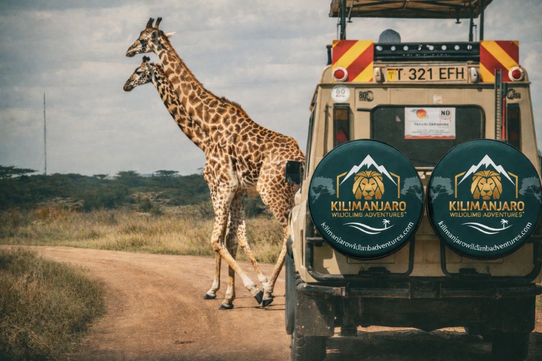 Tanzania safari vehicle