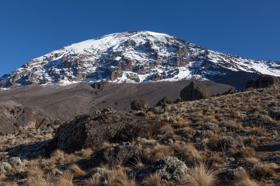 7-Day Machame Route Kilimanjaro Trek