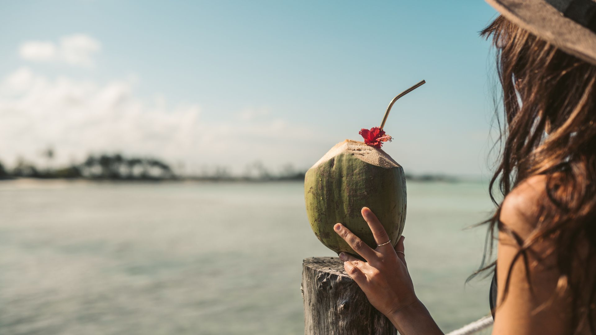 12-Day Luxury Safari and Beach for Two - Forever Begins Here