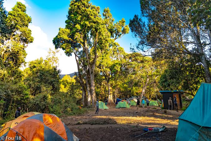 Mti Mkubwa Camp photo