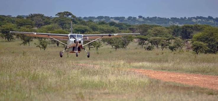 Your First Tanzania Safari: Everything You Need to Know