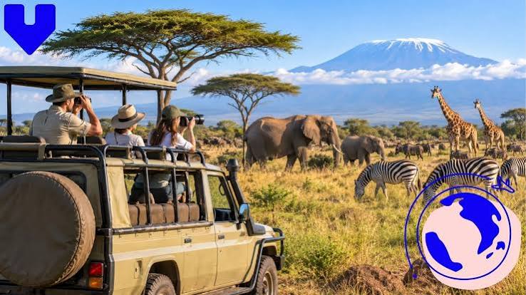 Best Time to Visit Tanzania: A Month-by-Month Safari and Beach Guide