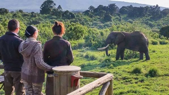 Rhino Lodge Ngorongoro photo